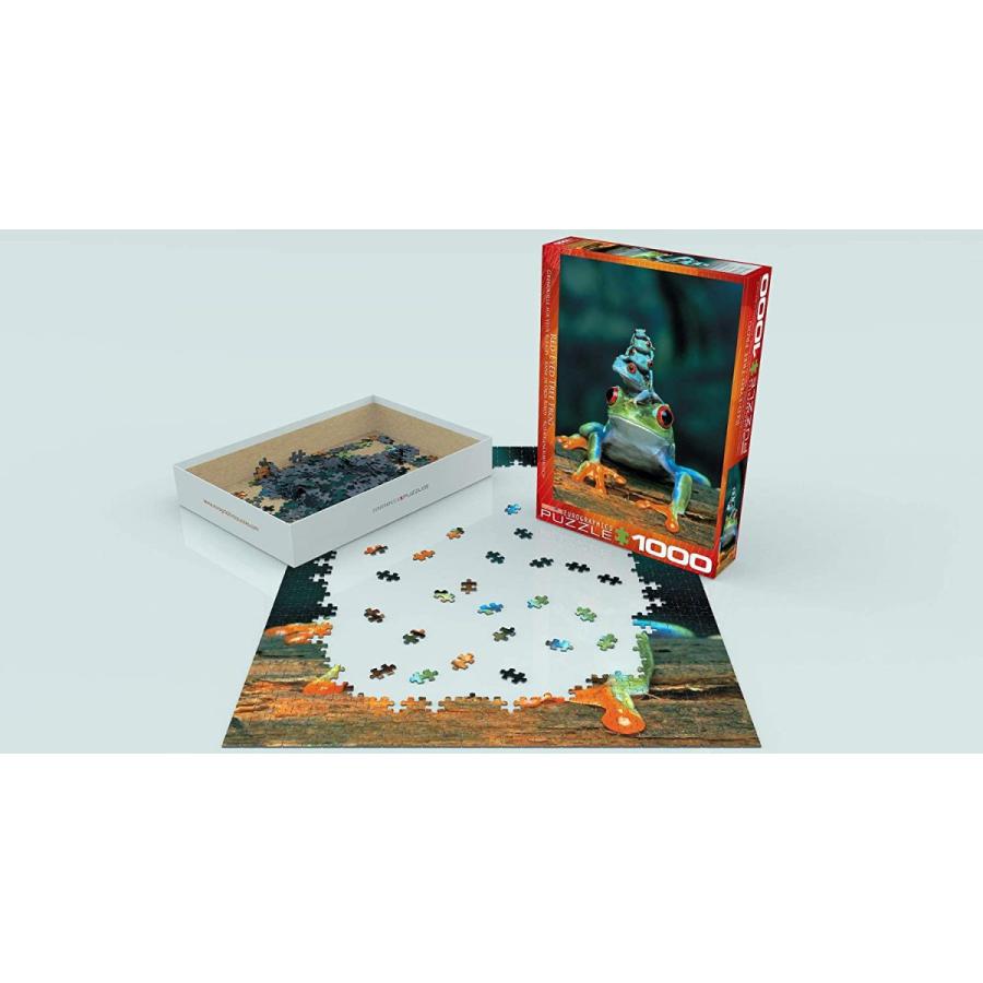 ジグソーパズル 海外製 アメリカ 6000-3004 EuroGraphics Red Eyed Tree Frog 1000 Piece Puzzle (6000の画像