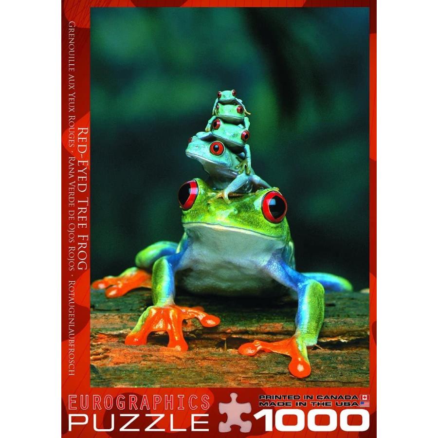 ジグソーパズル 海外製 アメリカ 6000-3004 EuroGraphics Red Eyed Tree Frog 1000 Piece Puzzle (6000の画像