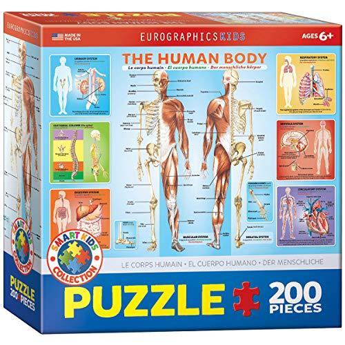 当てもの 外国で製 亜米利加 6200-1000 EuroGraphics Human Body Jigsaw Puzzle (200-Piece) ゲーム、おもちゃ-パズル-ジグソーパズル