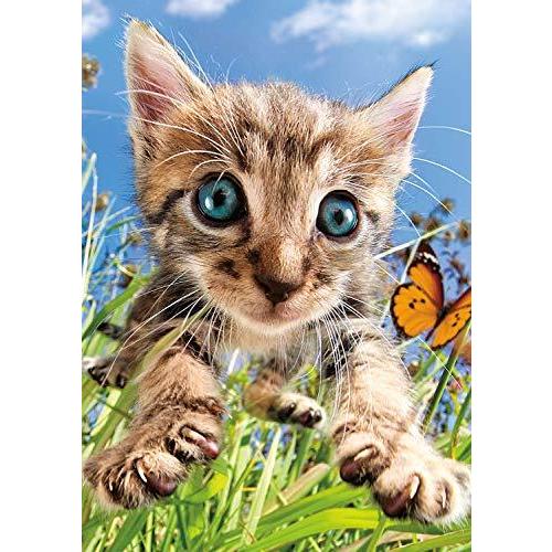 ジグソーパズル 海外製 アメリカ 3109 Buffalo Games - Pounce! - 500 Piece Jigsaw Puzzle Multicolor