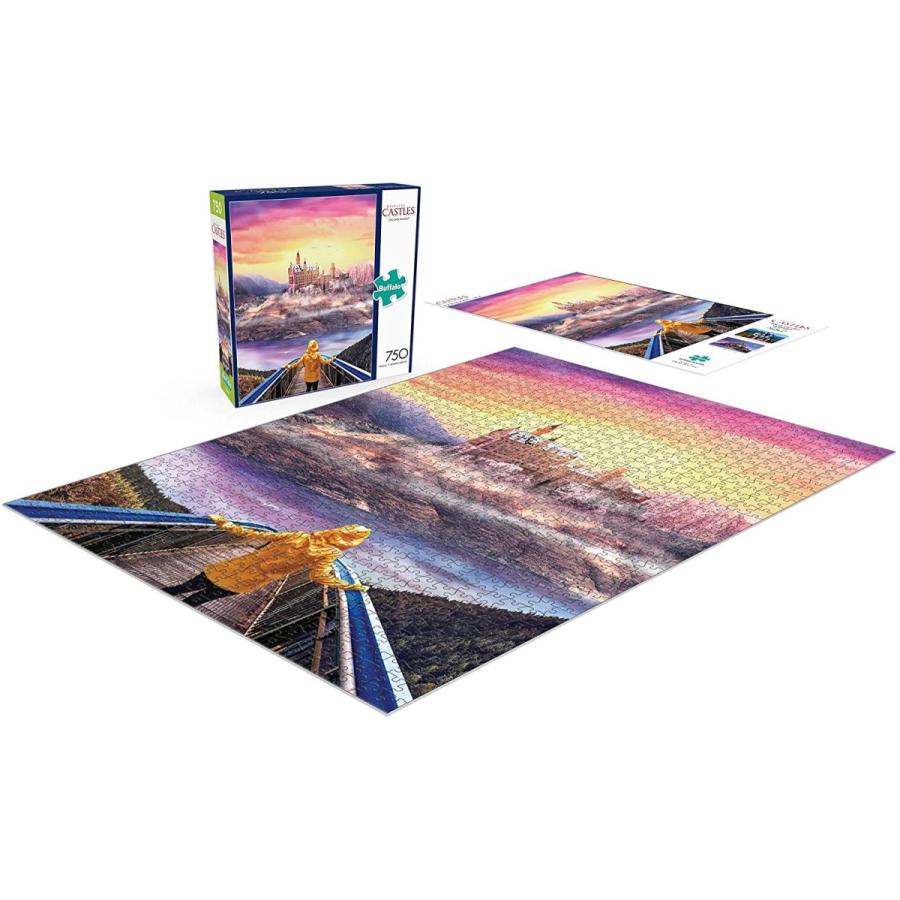 ジグソーパズル 海外製 アメリカ 17062 Buffalo Games - Diego PH - Discover Fantasy - 750 Piece Jig