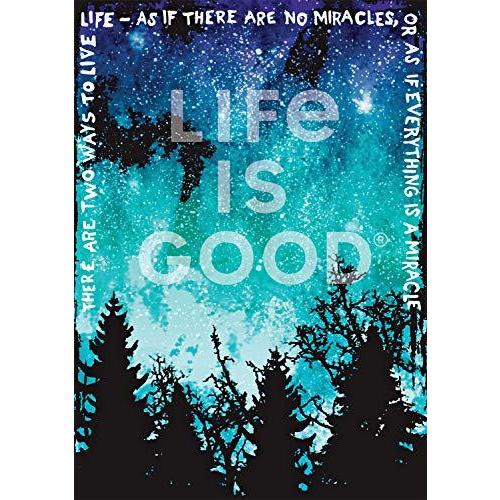 ジグソーパズル 海外製 アメリカ 3132 Buffalo Games - Life is Good - Everything is a Miracle - 500