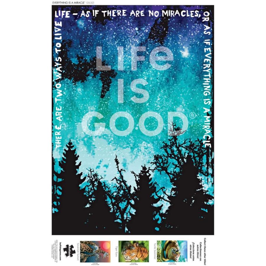 ジグソーパズル 海外製 アメリカ 3132 Buffalo Games - Life is Good - Everything is a Miracle - 500_4