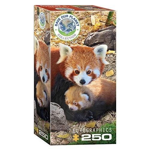 ジグソーパズル 海外製 アメリカ 8251-5557 EuroGraphics Red Pandas