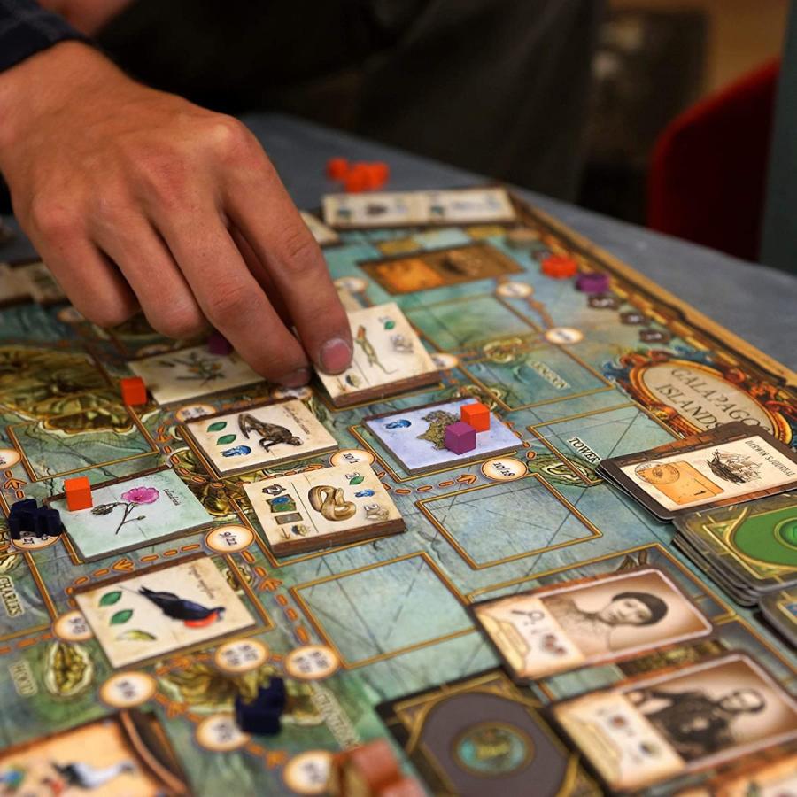 ボードゲーム 英語 アメリカ AAX6001 On The Origin of Species | An Evolutionary Research Board Gameの画像