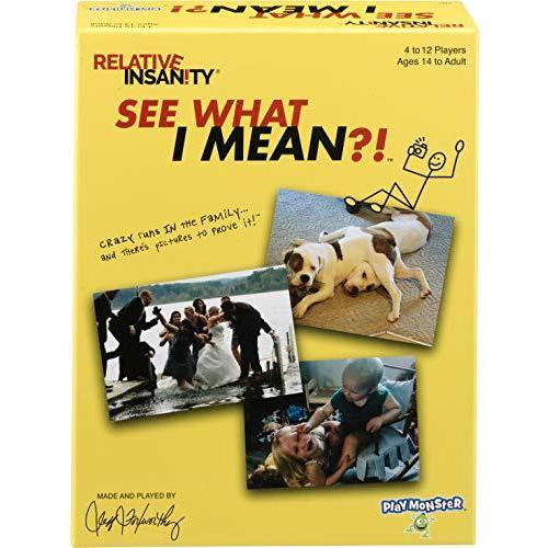 ボードゲーム 英語 アメリカ 7447 Relative Insanity See What I Mean - Hilarious Party Game - from Co