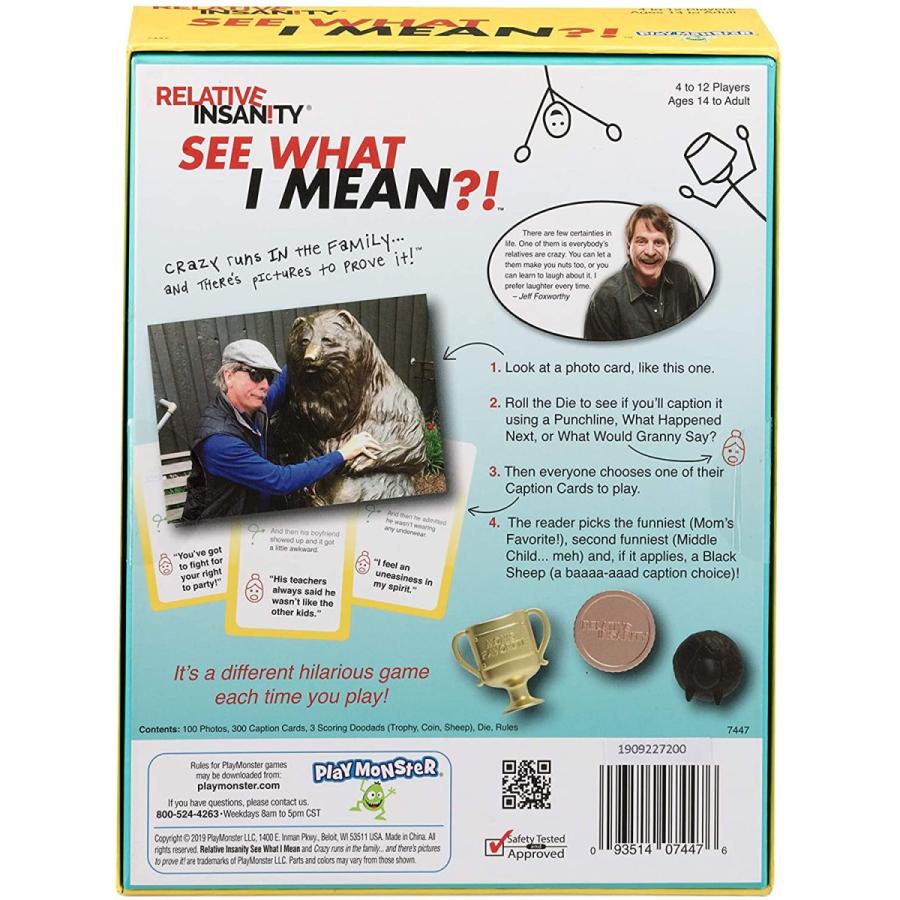 ボードゲーム 英語 アメリカ 7447 Relative Insanity See What I Mean - Hilarious Party Game - from Co_1