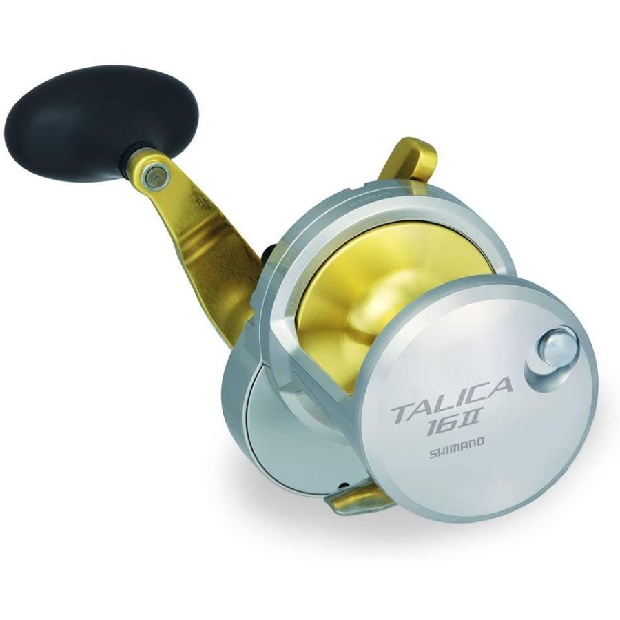 ダートマックスTR 40g 餌木 ダートマックスTR 40g 餌木