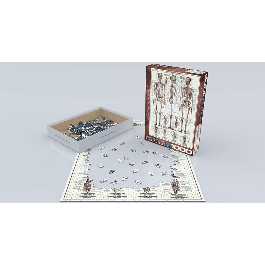 ジグソーパズル 海外製 アメリカ 6000-3970 EuroGraphics Skeletal System (Chart) Puzzle (1000-Piece_2