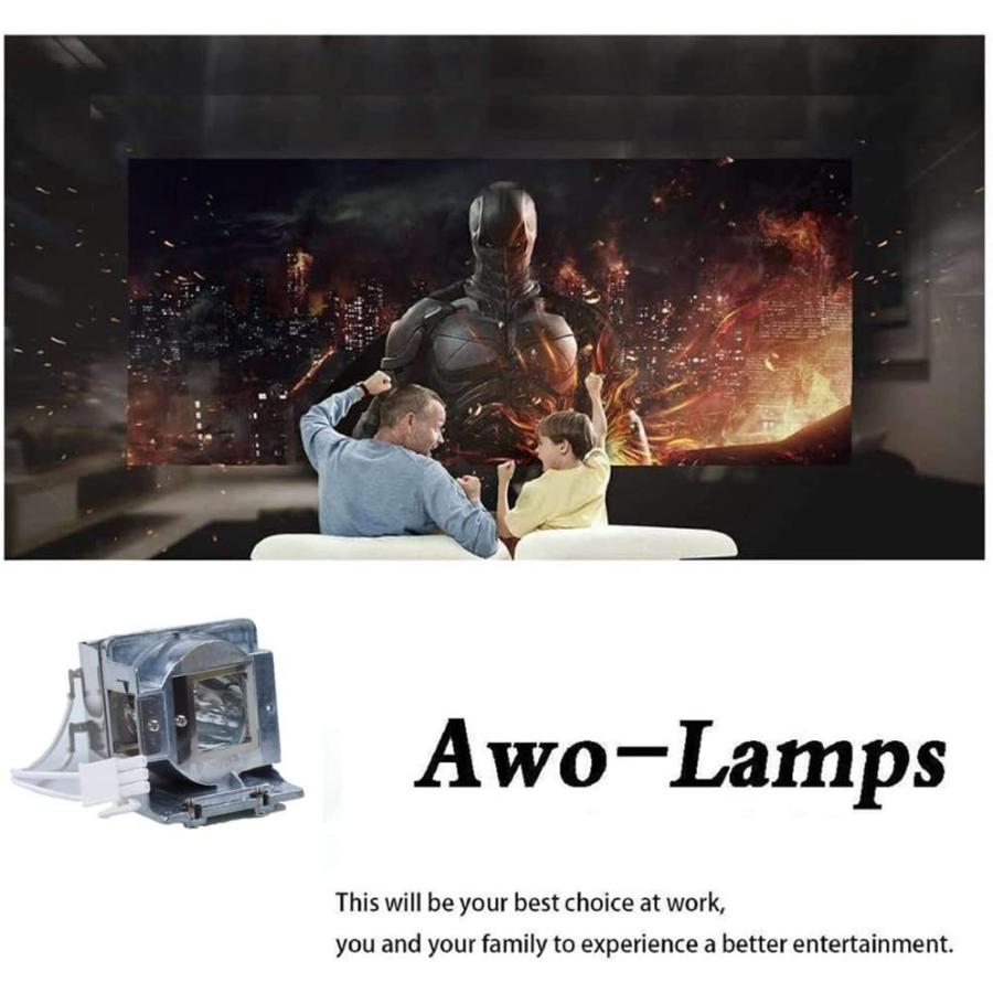プロジェクターランプ ホームシアター テレビ RLC-080 AWO Original P-VIP240W Lamp for RLC-080_3