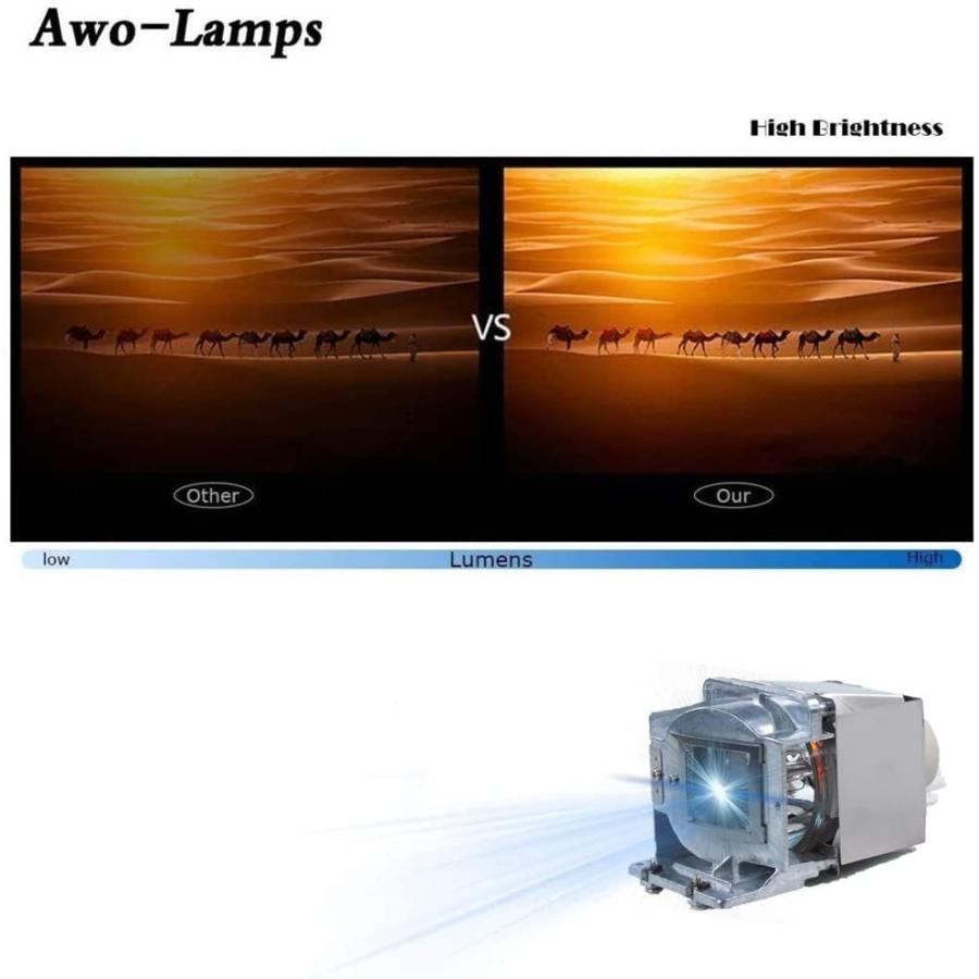 プロジェクターランプ ホームシアター テレビ RLC-080 AWO Original P-VIP240W Lamp for RLC-080_5