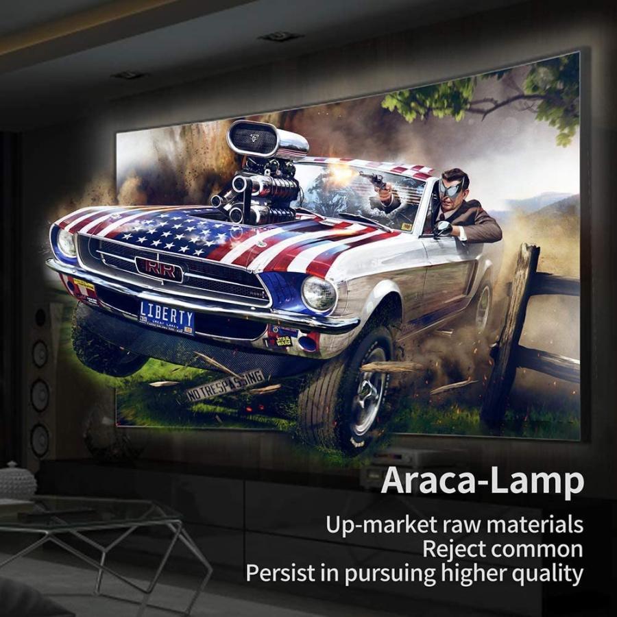 プロジェクターランプ ホームシアター テレビ SALP-H202-C Araca LMP-H202 Projector Lamp with_3