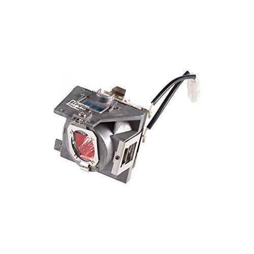 プロジェクターランプ ホームシアター テレビ RLC-118 ViewSonic RLC-118 Replacement Projector
