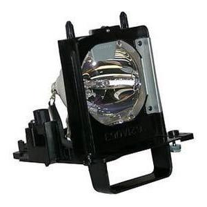 プロジェクターランプ ホームシアター テレビ 915B455011 Replacement for Batteries and Light