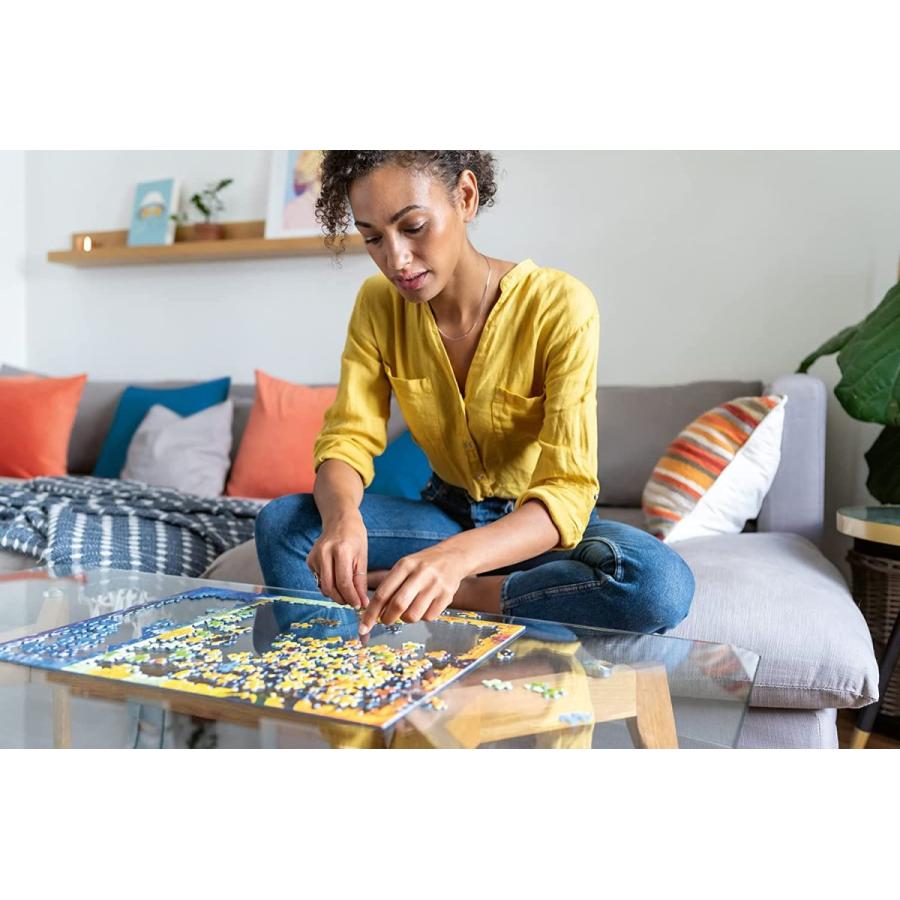 ジグソーパズル 海外製 1500ピース コースタル コラ−ジュ 約80x60センチ 絵画・アート Ravensburgerの画像