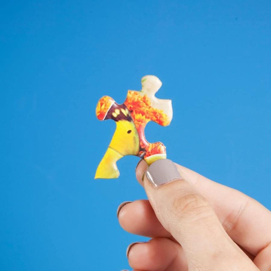 ジグソーパズル 海外製 アメリカ 40195 Bits and Pieces - 300 Piece Jigsaw Puzzle for Adults - Chie_3