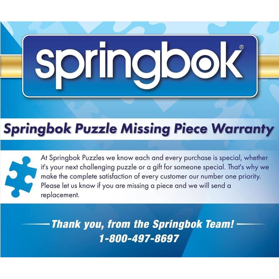 ジグソーパズル 海外製 アメリカ 33-10899 Springbok's 1000 Piece Jigsaw Puzzle Balloon Fest - Madeの画像