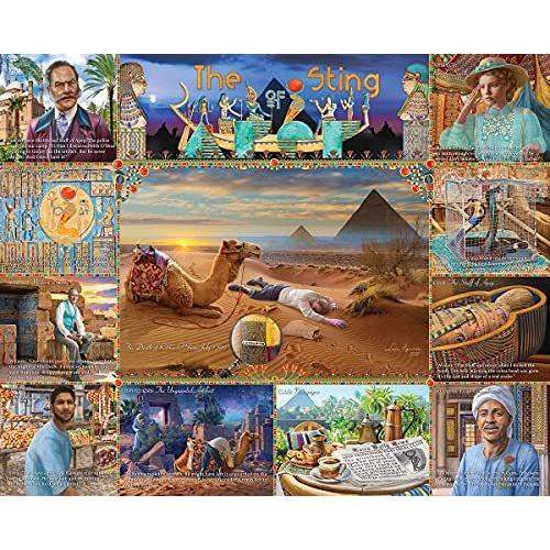 ジグソーバズル 海外製 1000ピース ミステリーパズル APEPの刺し傷 サイズ約60×76センチ 絵画・ア