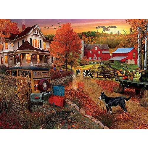 ジグソーパズル 海外製 アメリカ 3312-6 Ceaco 1000 Piece Sarina's World Puzzle