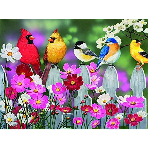 ジグソーパズル 海外製 アメリカ Sunsout-30448 SUNSOUT INC - Songbirds and Cosmos - 500 pc Jigsaw