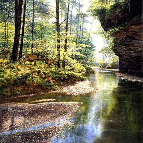 ジグソーパズル 海外製 アメリカ 44720 SUNSOUT INC - Quiet Forest - 1000 pc Jigsaw Puzzle by Artis