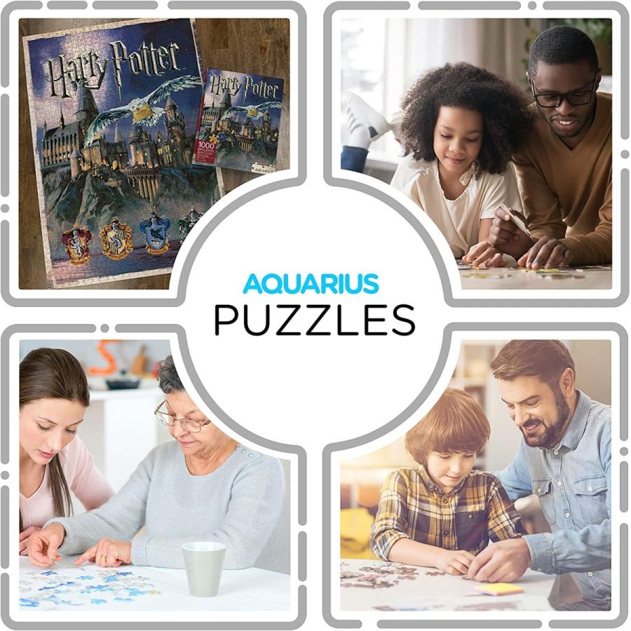 ジグソーパズル 海外製 アメリカ 65252 AQUARIUS Harry Potter Puzzle Hogwarts Castle (1000 Piece Ji