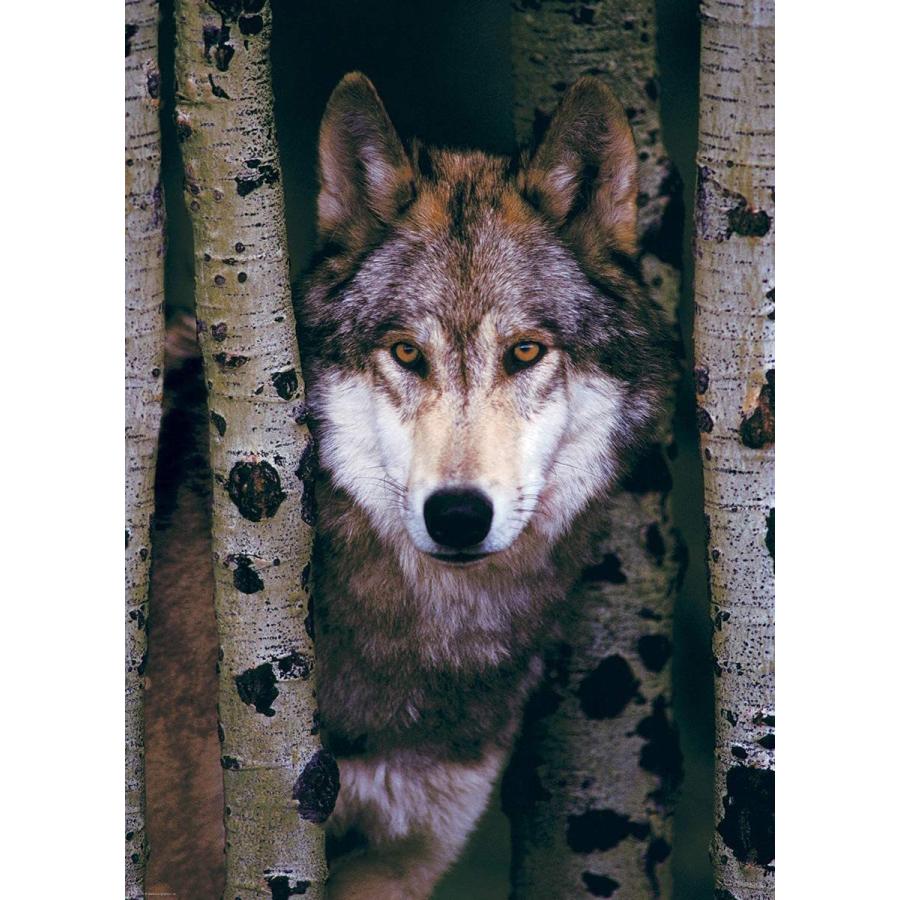 ジグソーパズル 海外製 アメリカ EUROPZ-1244 Eurographics Gray Wolf 1000-Piece Puzzle_1