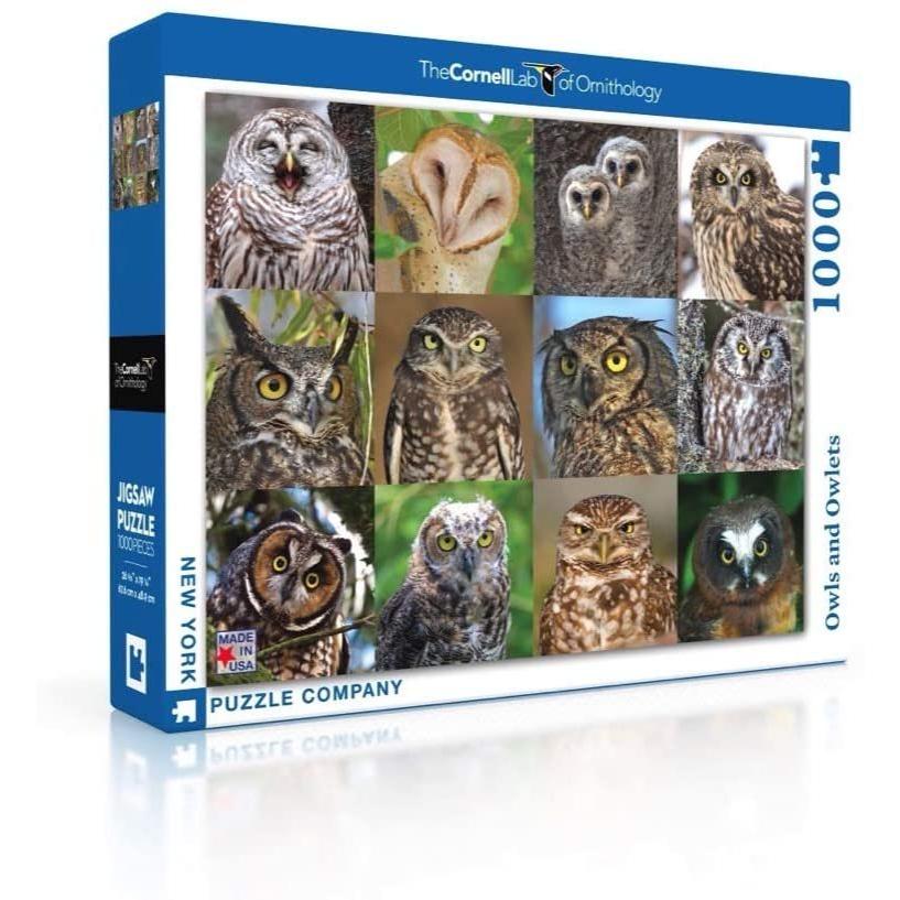 ジグソーパズル 海外製 アメリカ NPZCB2085 New York Puzzle Company - Cornell Lab Owls and Owlets -の画像