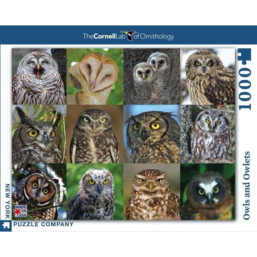 ジグソーパズル 海外製 アメリカ NPZCB2085 New York Puzzle Company - Cornell Lab Owls and Owlets -の画像