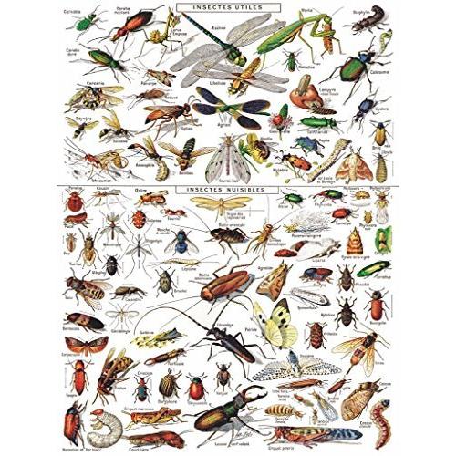 ジグソーパズル 海外製 アメリカ 43224-12437 New York Puzzle Company - Vintage Images Insects ~ In