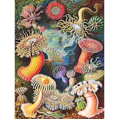 ジグソーパズル 海外製 アメリカ NPZPD1921 New York Puzzle Company - Vintage Images Sea Anemones -