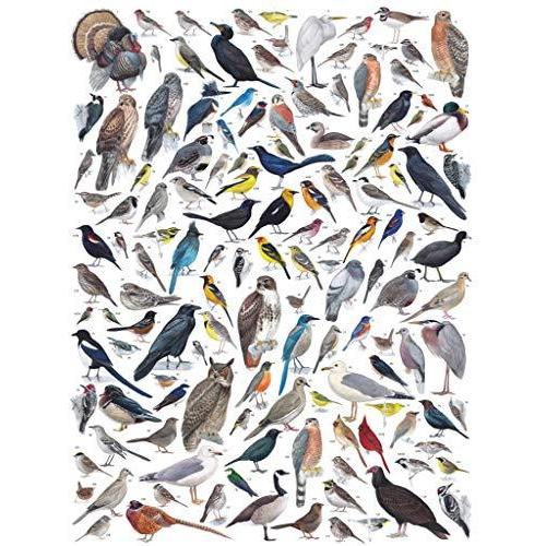 ジグソーパズル 海外製 アメリカ NPZCB1837 New York Puzzle Company - Cornell Lab Birds of Western