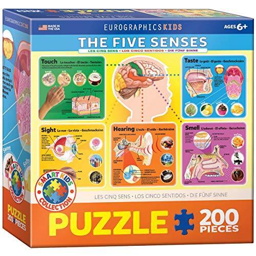 ジグソーパズル 海外製 アメリカ 6200-0305 EuroGraphics Five Senses Jigsaw Puzzle (200-Piece)