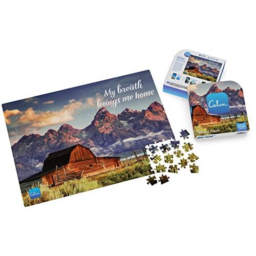 ジグソーパズル 海外製 アメリカ 6063642 300-Piece Calm Jigsaw Puzzle for Relaxation, Stress Relie