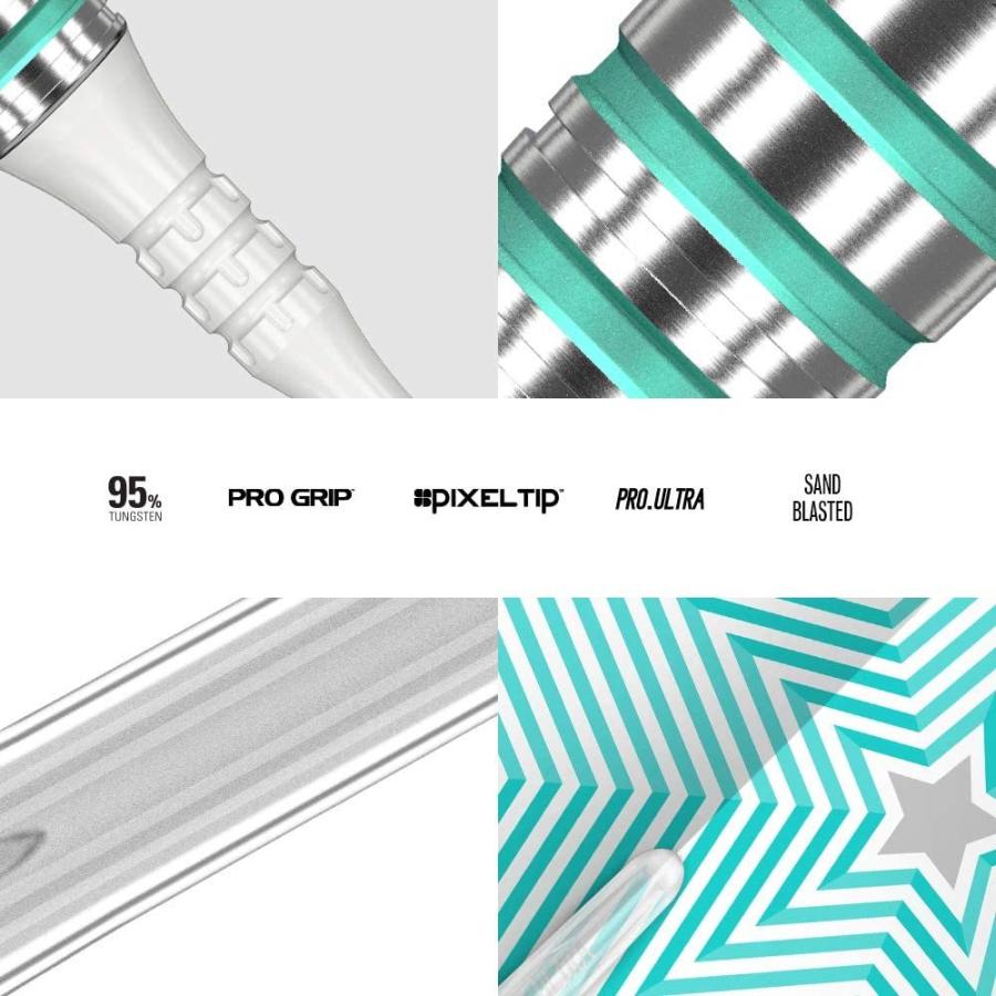 海外輸入品 ダーツ 210029 Target Darts Mikuru Suzuki The