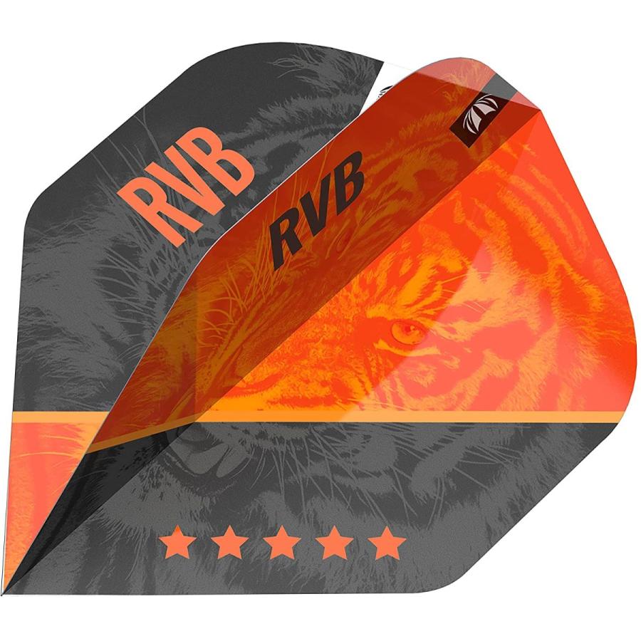 海外輸入品 ダーツ 190129 Target Darts Raymond van Barneveld RVB 95