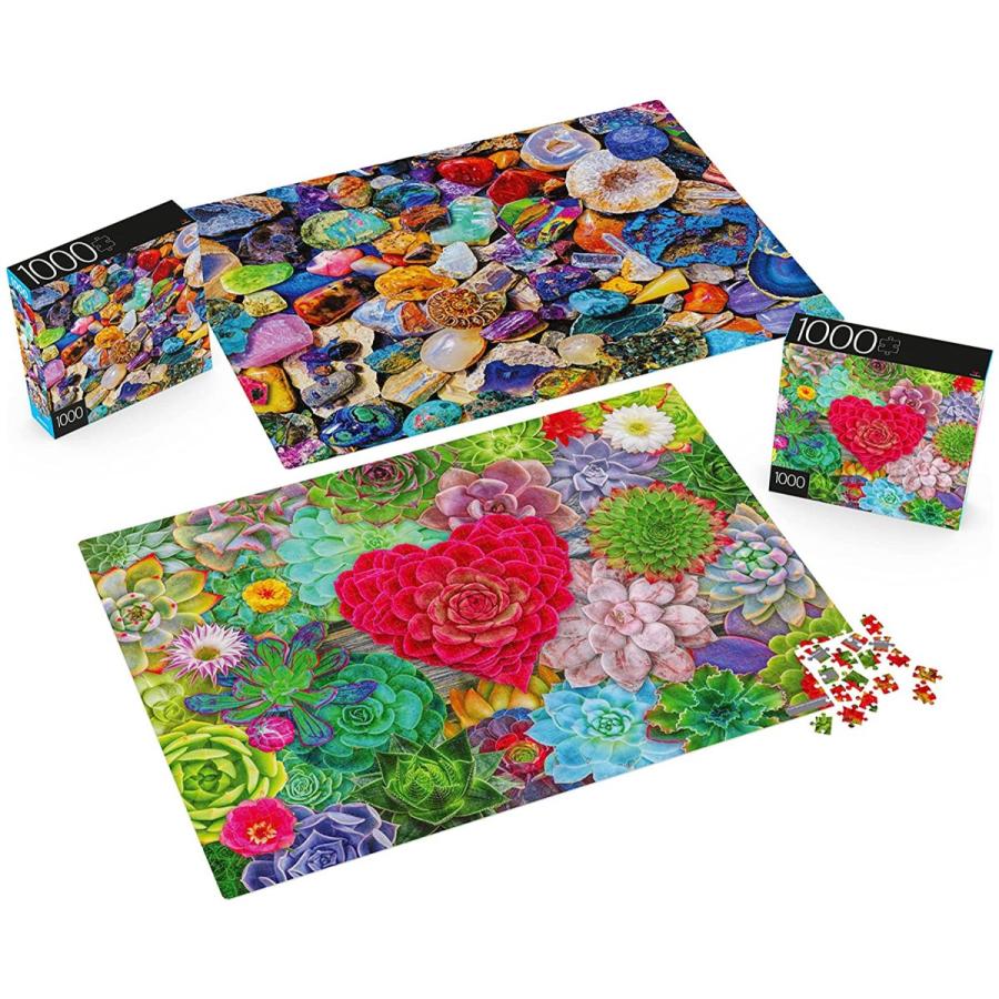 ジグソーパズル 海外製 アメリカ 6060845 2-Pack of 1000-Piece