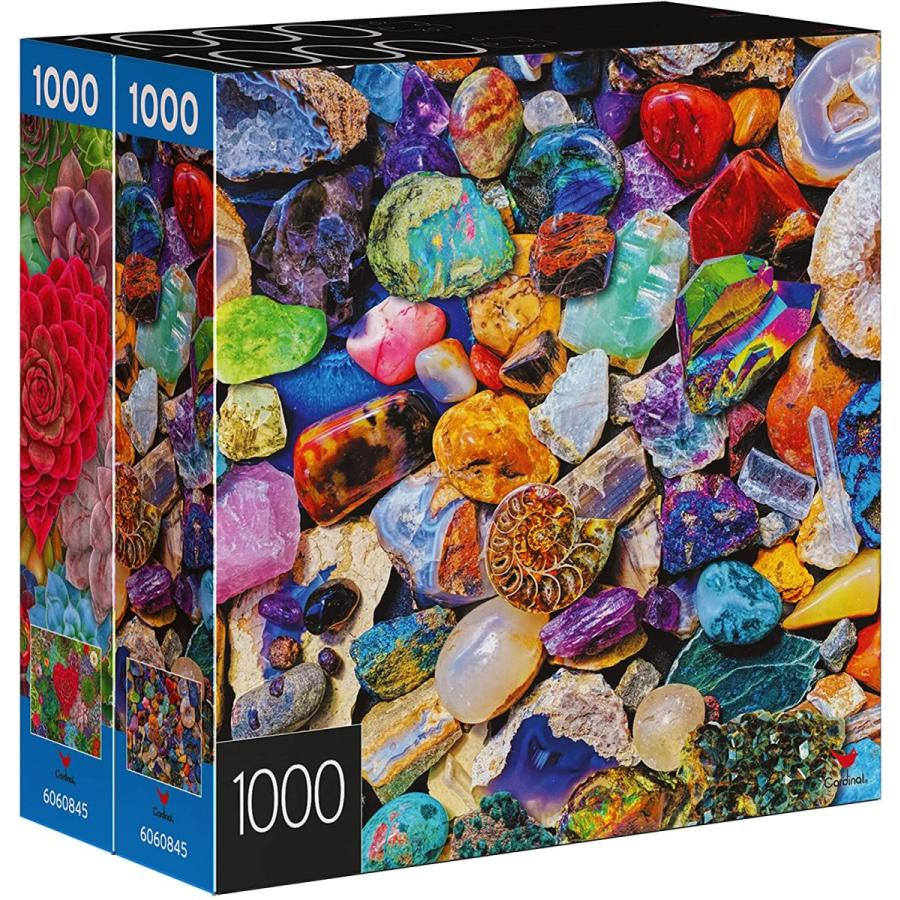 Jigsaw Puzzle ジグソーパズル　大量　まとめ売り ジグソーパズル 海外製 アメリカ 6060845 2-Pack of 1000-Piece Jigsaw
