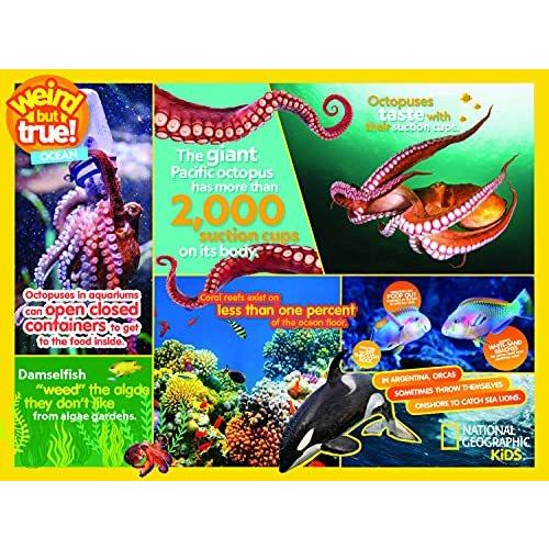 ジグソーパズル 海外製 アメリカ 22002 Buffalo Games - NAT Geo - Ocean - 400 Piece Jigsaw Puzzle f