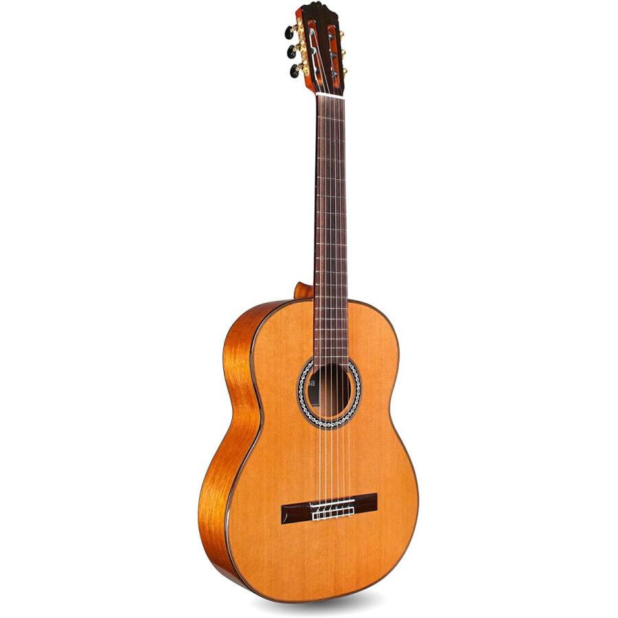 コルドバ アコースティックギター 海外直輸入 Cordoba C9 CD Cordoba C9 CD/MH Acoustic Nylon S