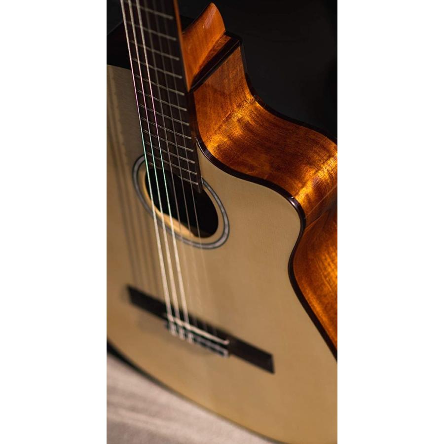 コルドバ アコースティックギター 海外直輸入 COD 99 750 0030 Cordoba Fusion 5 Nylon String Aの画像