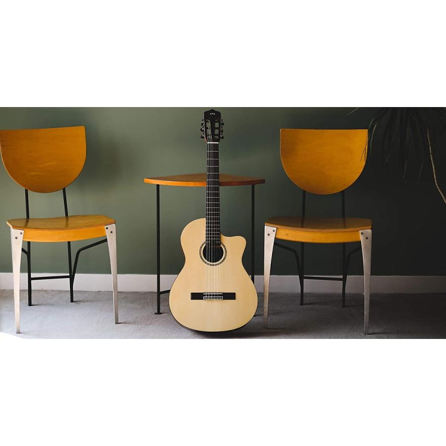 コルドバ アコースティックギター 海外直輸入 COD 99 750 0030 Cordoba Fusion 5 Nylon String Aの画像