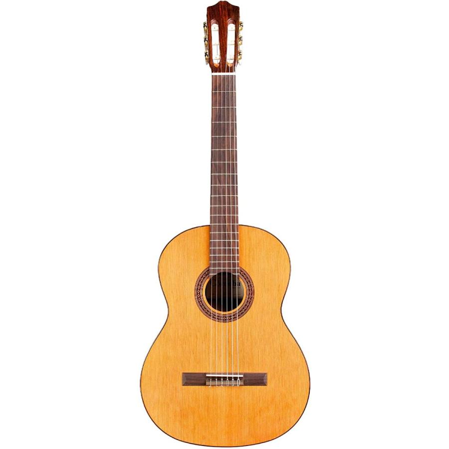 コルドバ アコースティックギター 海外直輸入 COD 99 751 0260 Cordoba C5 Lefty Nylon String Aの画像