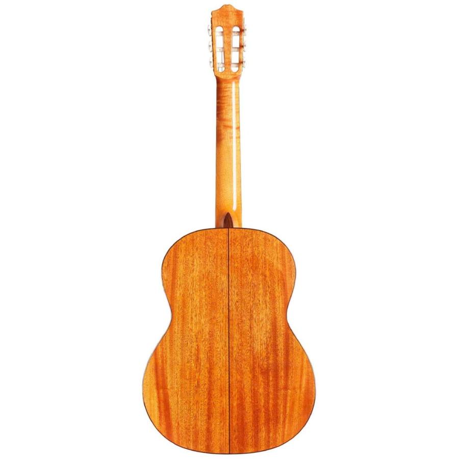 コルドバ アコースティックギター 海外直輸入 COD 99 751 0260 Cordoba C5 Lefty Nylon String Aの画像