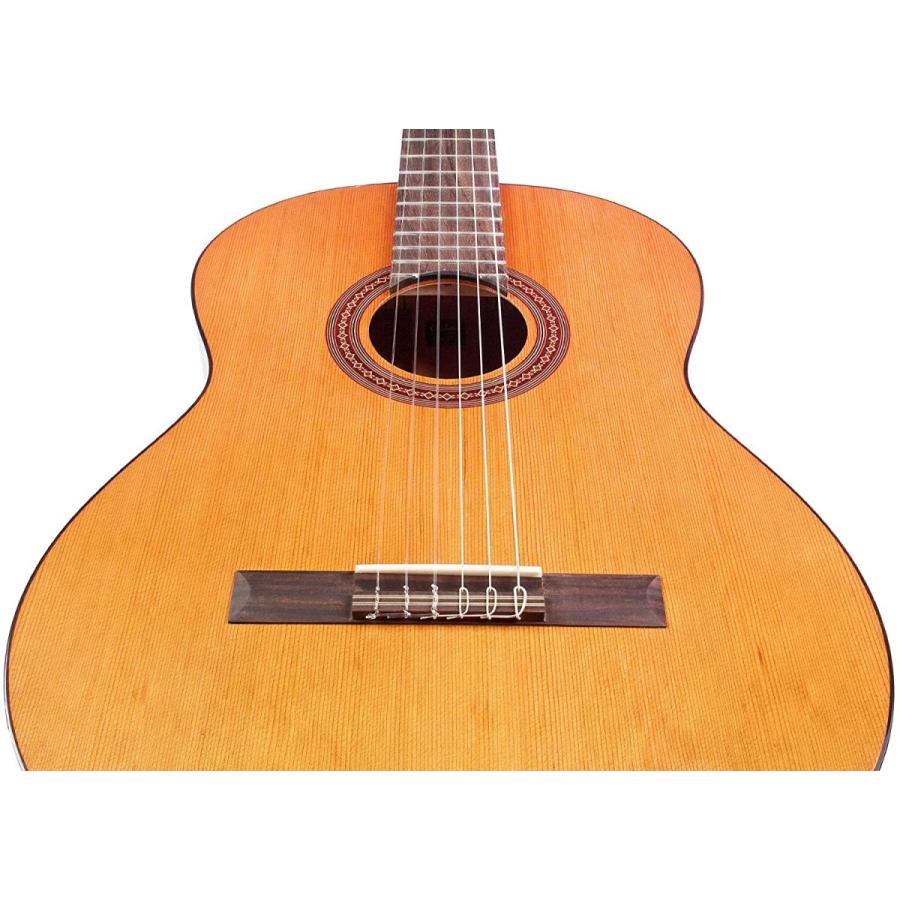 コルドバ アコースティックギター 海外直輸入 COD 99 751 0260 Cordoba C5 Lefty Nylon String Aの画像
