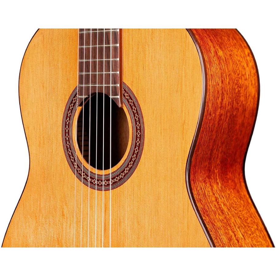 コルドバ アコースティックギター 海外直輸入 COD 99 751 0260 Cordoba C5 Lefty Nylon String Aの画像