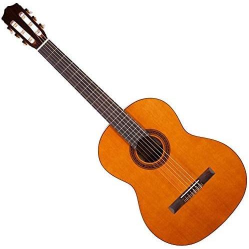 コルドバ アコースティックギター 海外直輸入 COD 99 751 0260 Cordoba C5 Lefty Nylon String Aの画像