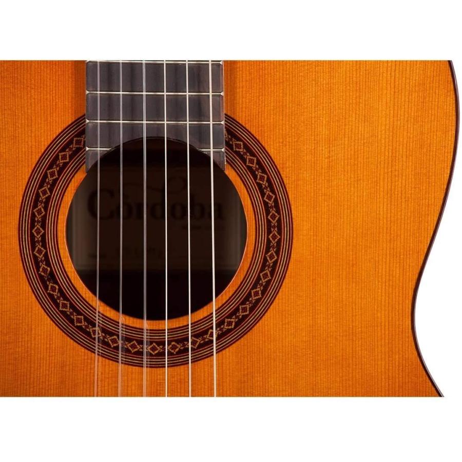 コルドバ アコースティックギター 海外直輸入 COD 99 751 0260 Cordoba C5 Lefty Nylon String Aの画像