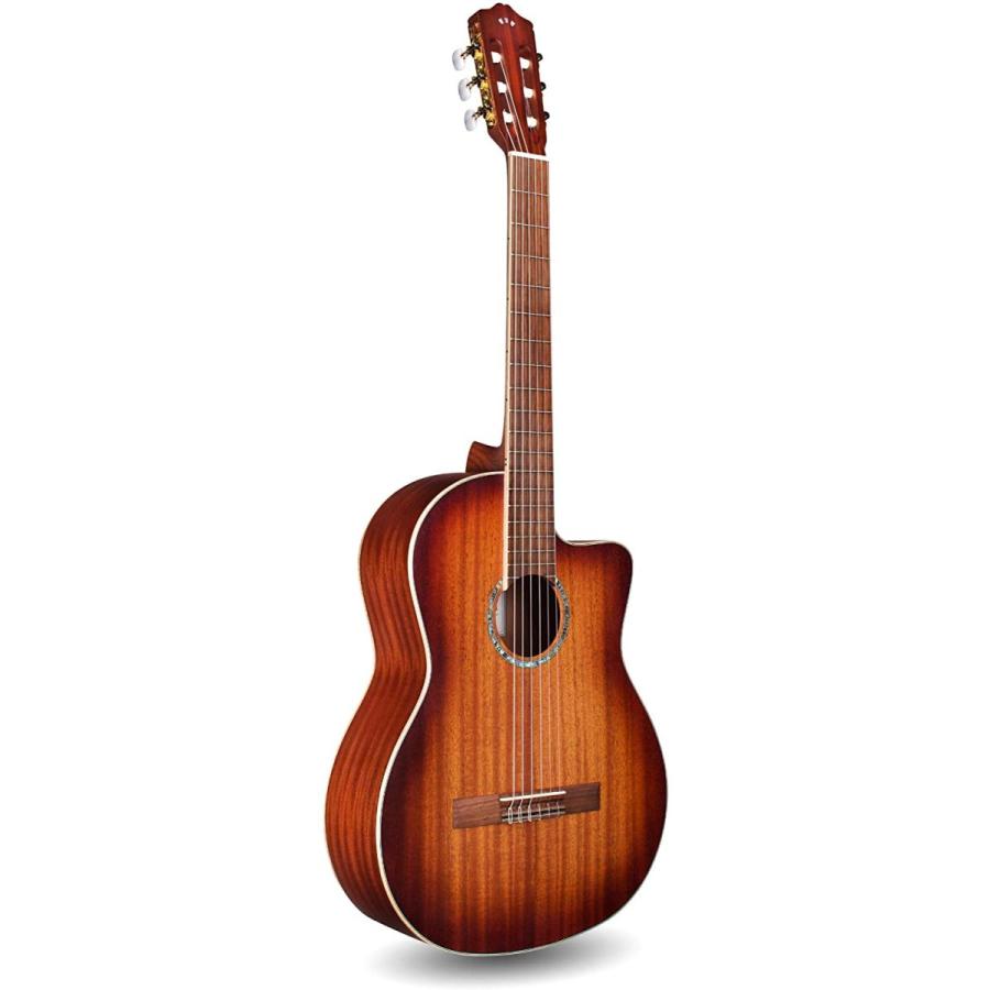 バサラ祭2017〜もののふ語り〜 [Blu-ray]