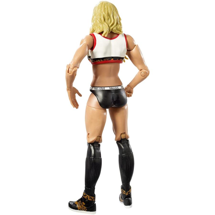 WWE フィギュア アメリカ直輸入 DXF83 WWE Basic Carmella Figure_2